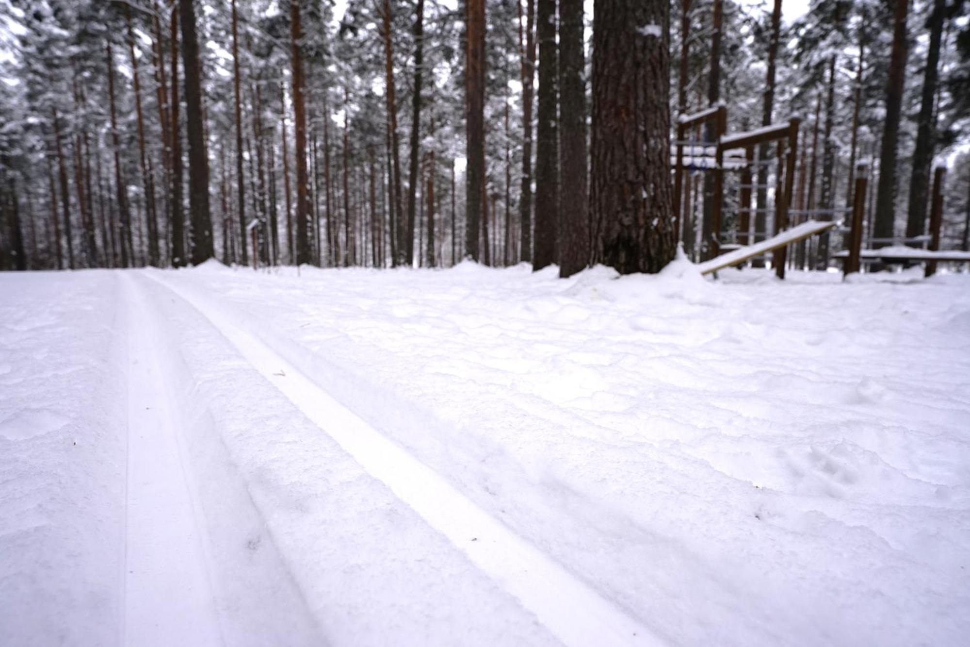 Home Aurora - Loft-Sauna-Wifi Rovaniemi Dış mekan fotoğraf